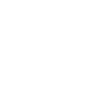 AMPI Merida
